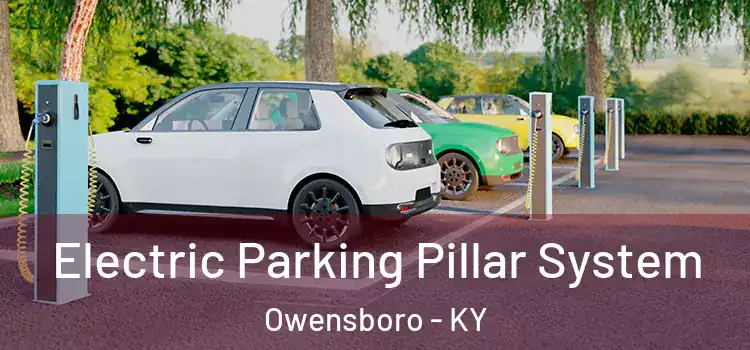  Electric Parking Pillar System Owensboro - KY