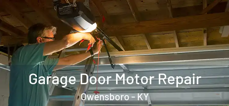  Garage Door Motor Repair Owensboro - KY