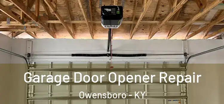  Garage Door Opener Repair Owensboro - KY