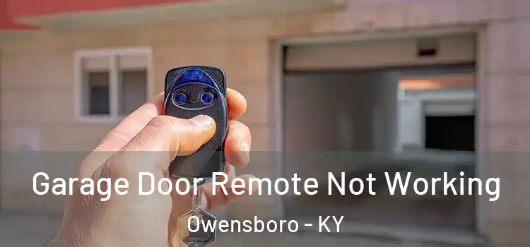  Garage Door Remote Not Working Owensboro - KY
