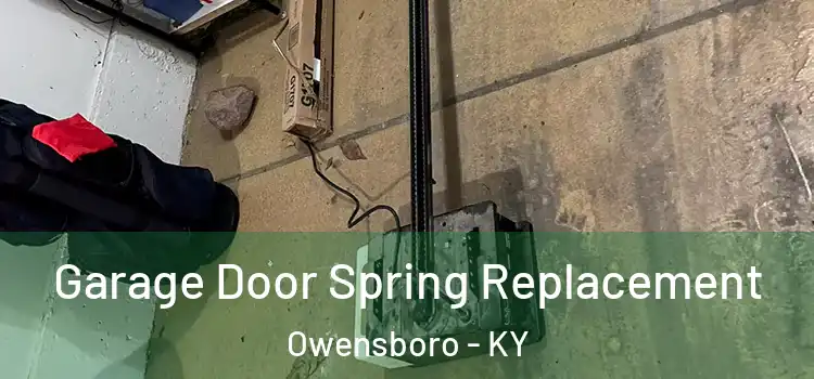  Garage Door Spring Replacement Owensboro - KY