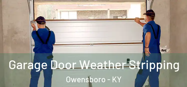  Garage Door Weather Stripping Owensboro - KY