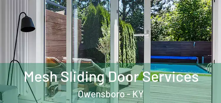 Mesh Sliding Door Services Owensboro - KY